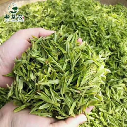  绿茶生态茶口感好茶明前新茶高山大树茶茶