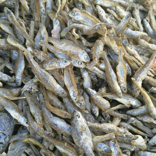 齐齐哈尔小麦穗鱼干 
