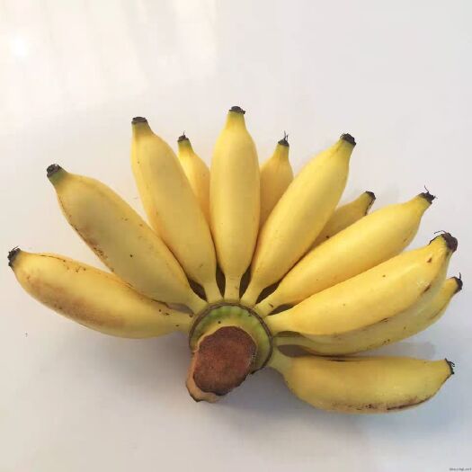 南宁小米蕉 八成熟 