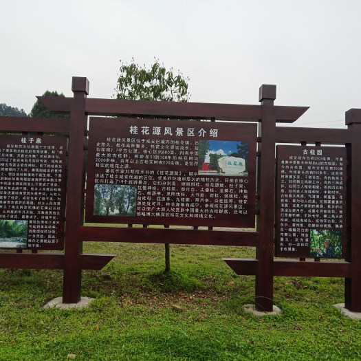 咸宁八月桂 