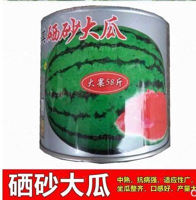 沭阳县硒砂瓜西瓜种子西瓜种子神禾卡其硒砂压砂大瓜石头瓜石缝