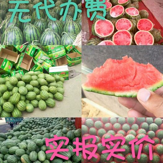 潍坊早春红玉西瓜 1茬 9成熟 4斤打底