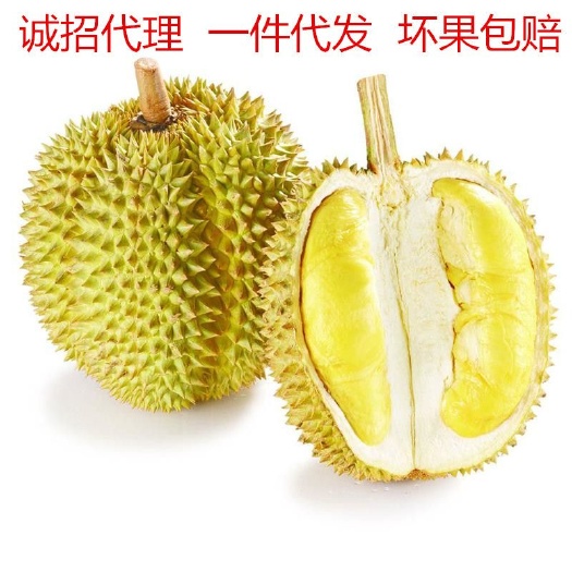 昆明泰国甲仑榴莲 2公斤以下 80 - 90%以上 