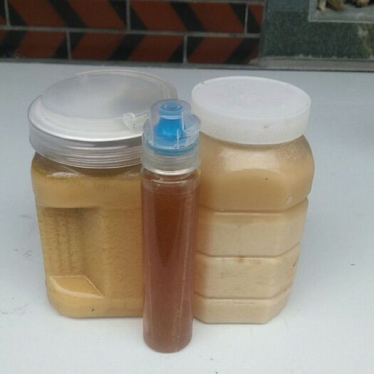 泉州土蜂蜜 玻璃瓶装 2年 95%以上 