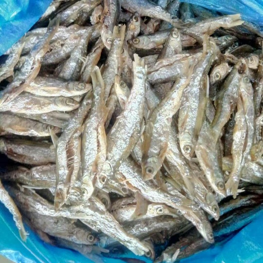 上思县白条鱼 开肚油炸白肖鱼