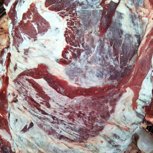 阳信县国产纯干多肉牛排，冷鲜牛排工厂每天大量出货