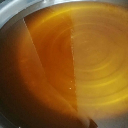 百色野生老树山茶油