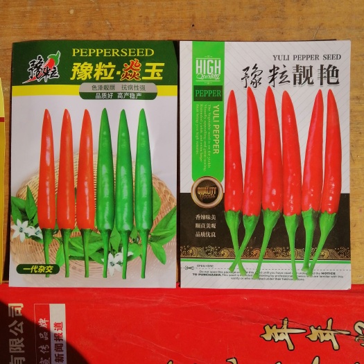 商丘艳红辣椒种子 杂交种 ≥99% 