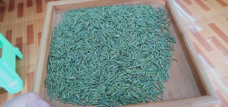 湄潭县翠芽 特级 散装 