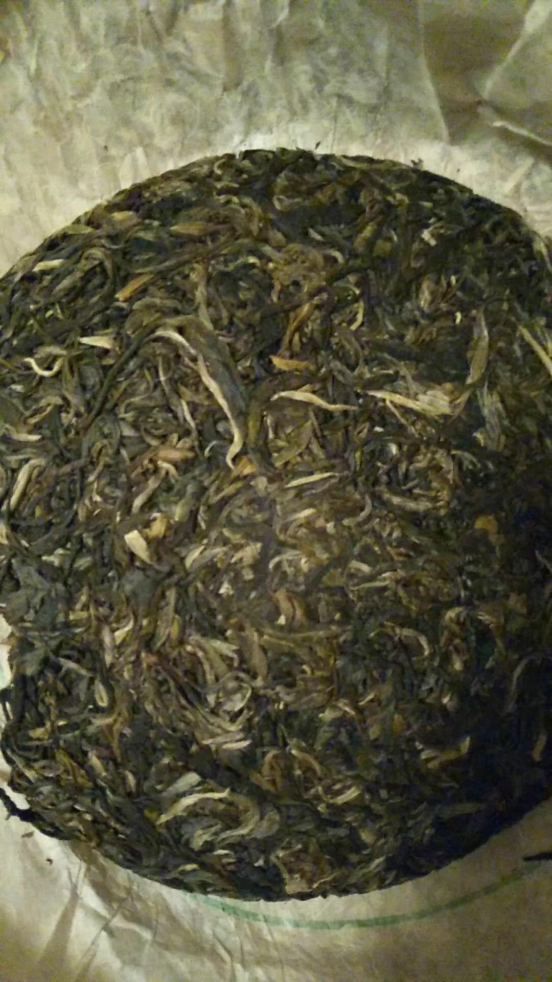 老树普洱 一级 散装 