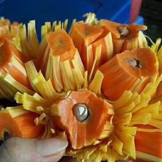 灵山县红肉菠萝蜜苗 