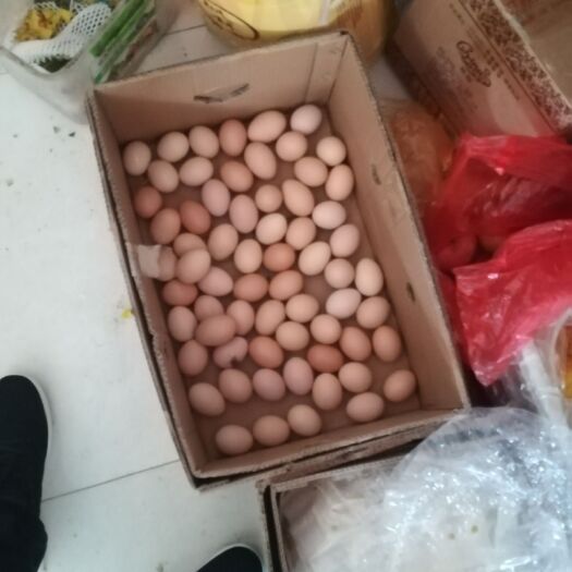 沙洋县土鸡蛋 简包装 食用