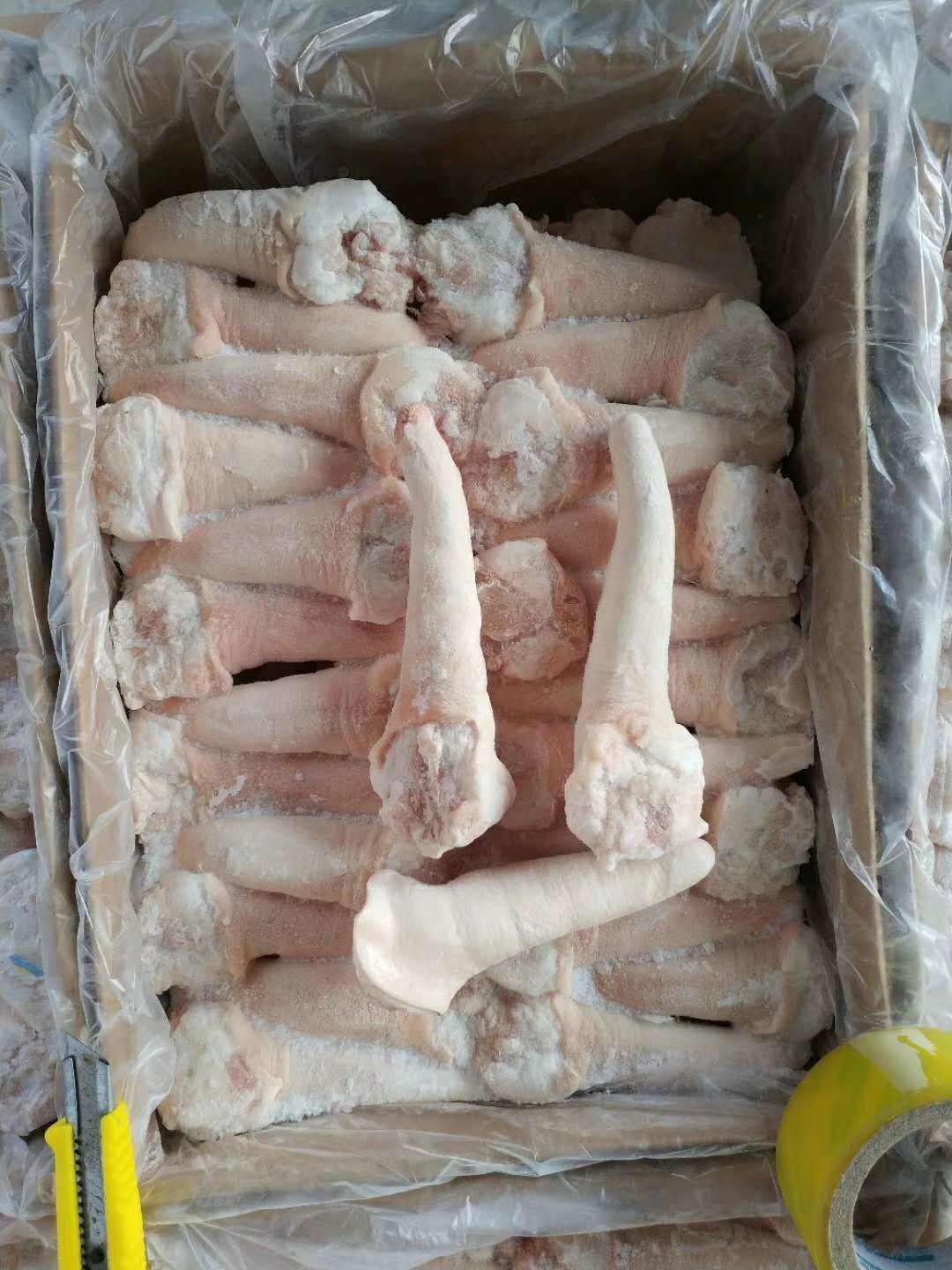 猪尾巴 中长尾
