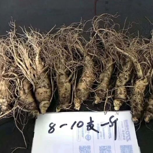 通化县 长白山新鲜人参，