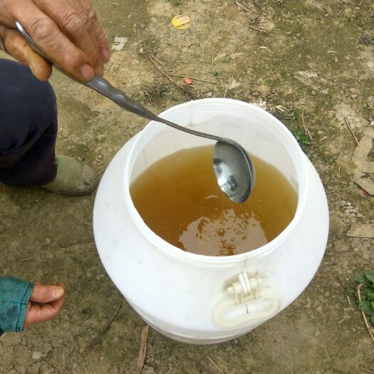 天门意蜂蜂蜜  塑料瓶装 2年以上 98% 出售自家产纯正蜂蜜天然，保健。
