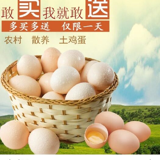 阜阳土鸡蛋 食用 礼盒装