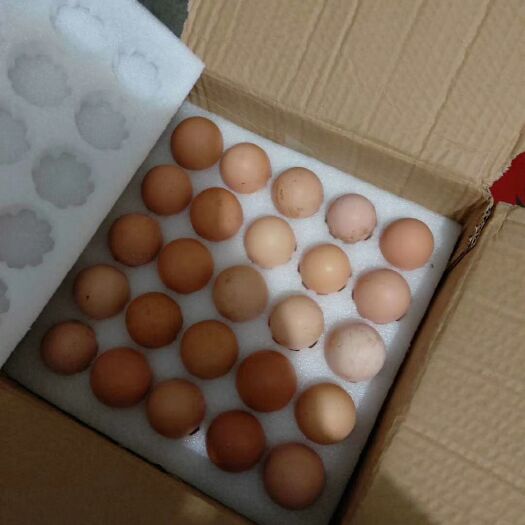 杭州土鸡蛋 食用 箱装 