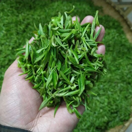 大悟县大悟高山绿茶  大悟高山绿茶