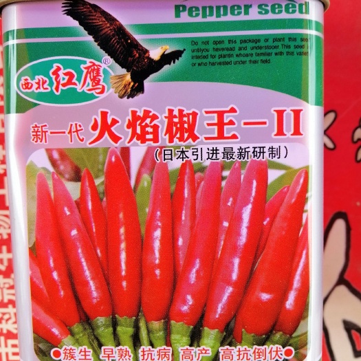 商丘三樱椒种子 杂交种 ≥95% 