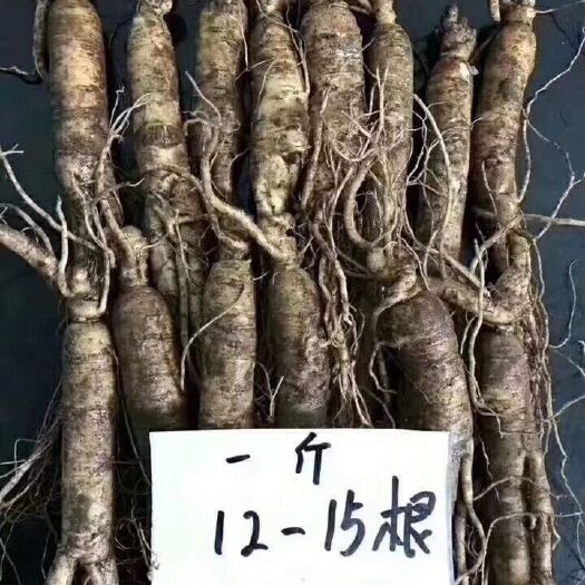 通化县 新鲜人参，现挖现卖