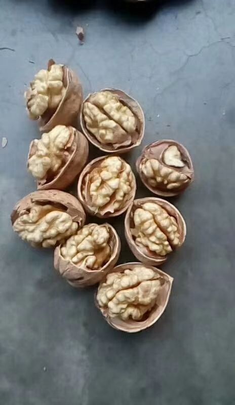 汾阳市新疆185核桃 