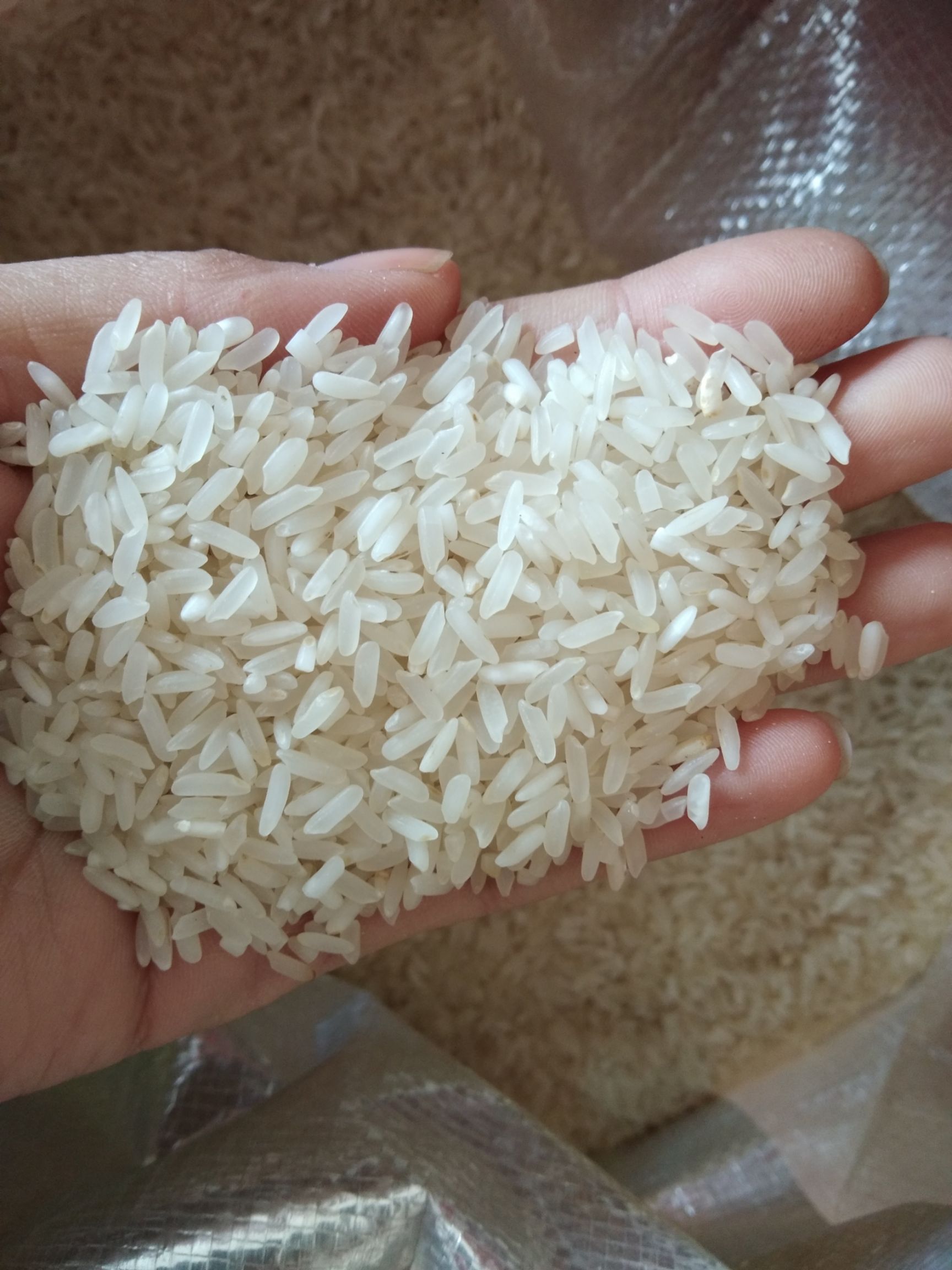 籼米 一等品 一季稻 籼米 