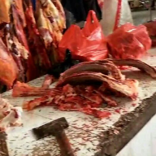 榕江县 草饲散养新鲜黄牛肉不注水排骨