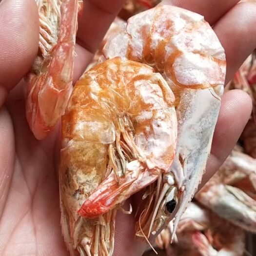 滨州对虾干 
