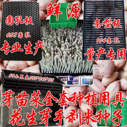 郴州豌豆苗