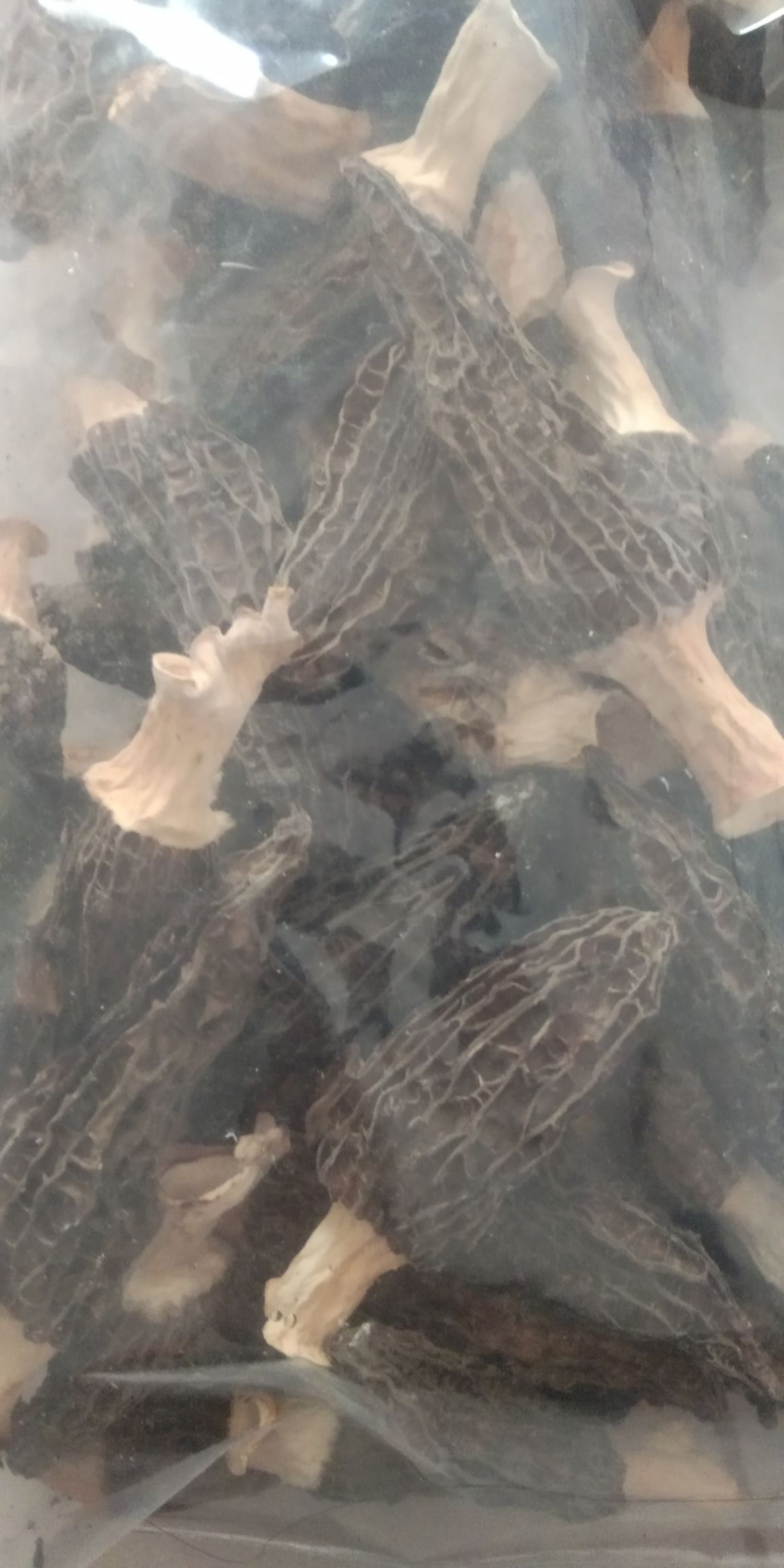 羊肚菌 干货 6cm~8cm 尖顶 灰黑色 人工种植 