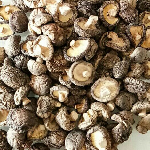 随州干草菇 箱装 1年 