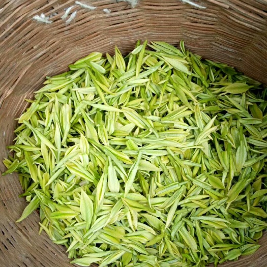 恩施市竹叶青茶 特级 散装 