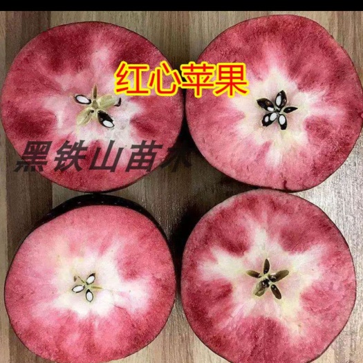 平邑县红肉苹果树苗 0.5~1米