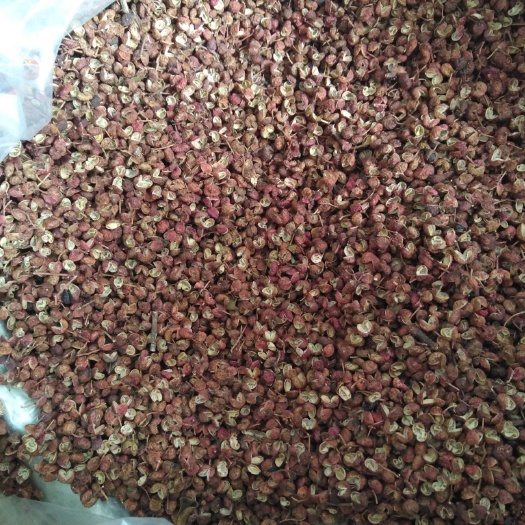 枣庄青花椒 一级 干花椒 