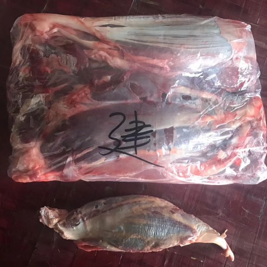 锡林浩特牛腱子肉 纯干  牛腱肉