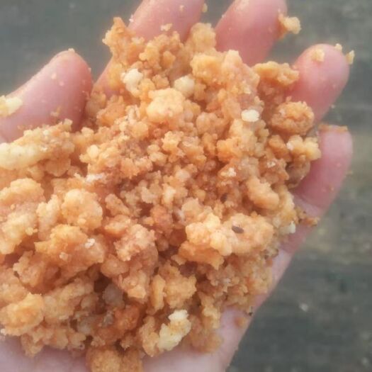天津油渣