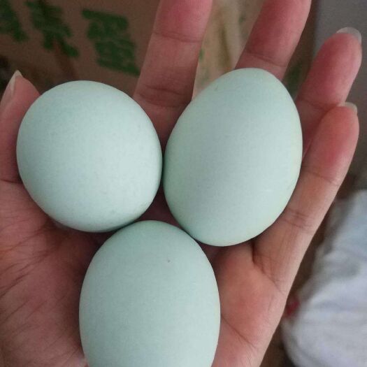 长沙县土鸡蛋 食用 箱装 