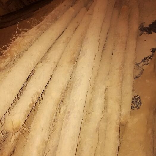 大名县白玉山药 通货 