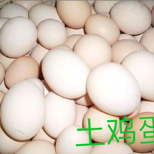 永顺县土鸡蛋 食用 箱装 