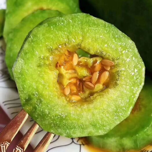 寿光市绿宝甜瓜苗 博洋9 博洋系列 西州蜜 绿宝