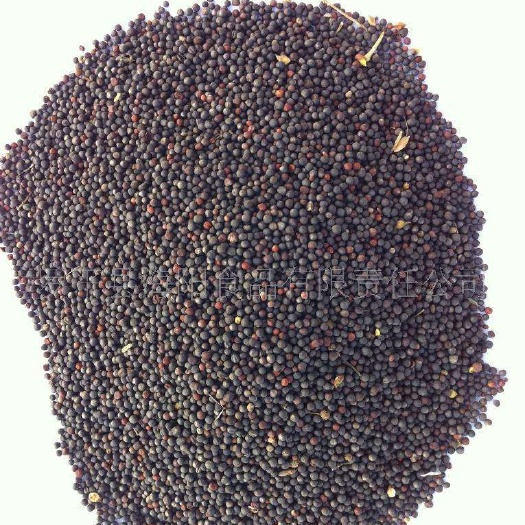 鄱阳县油菜籽油 