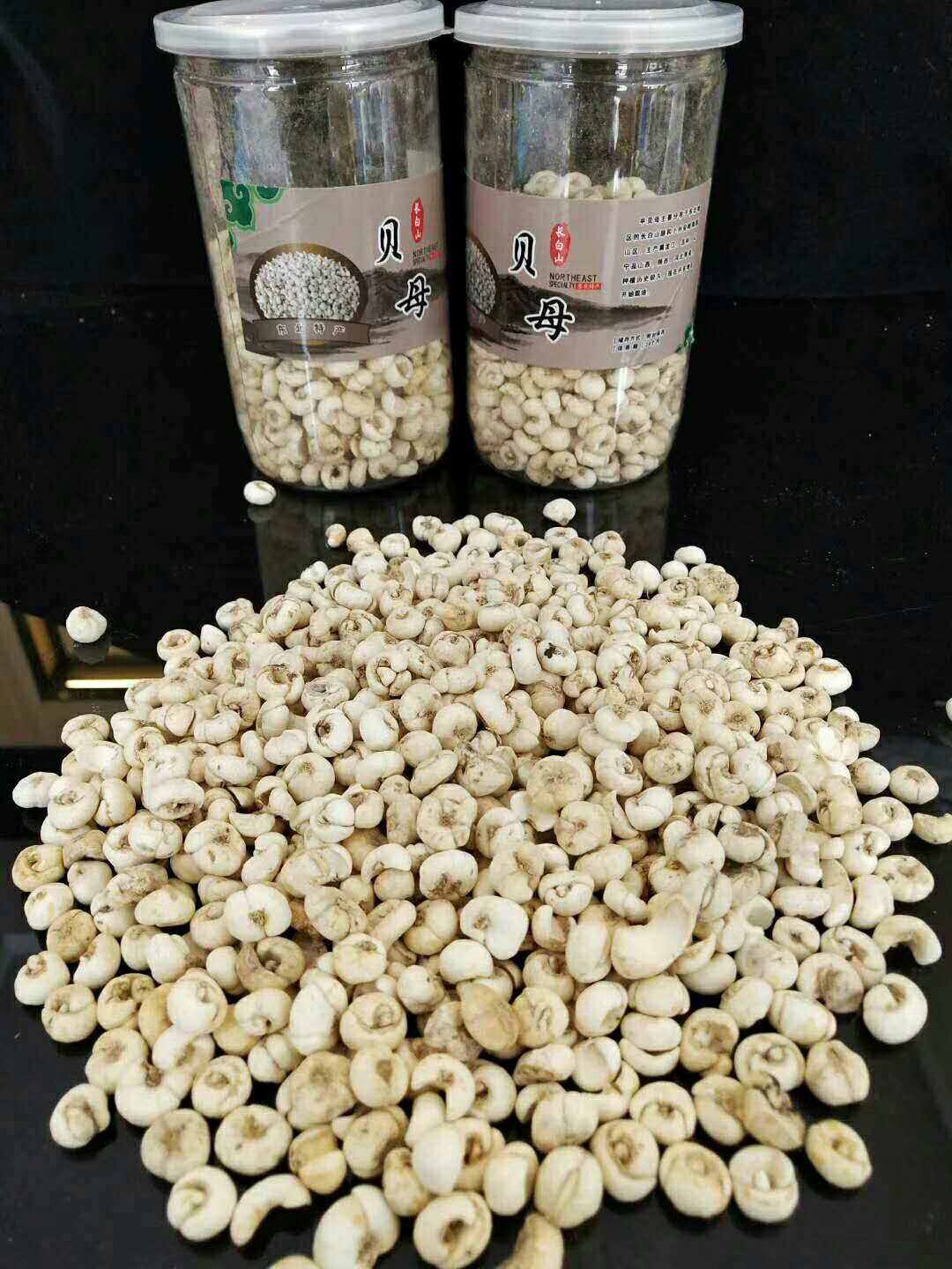 平贝母