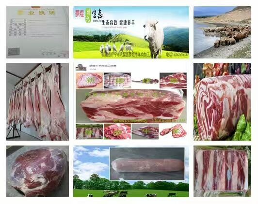 定州市肉牛  200斤以下 公牛 加工