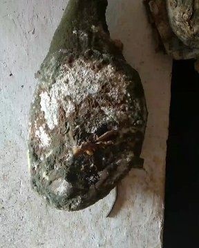 威宁县火腿 散装 