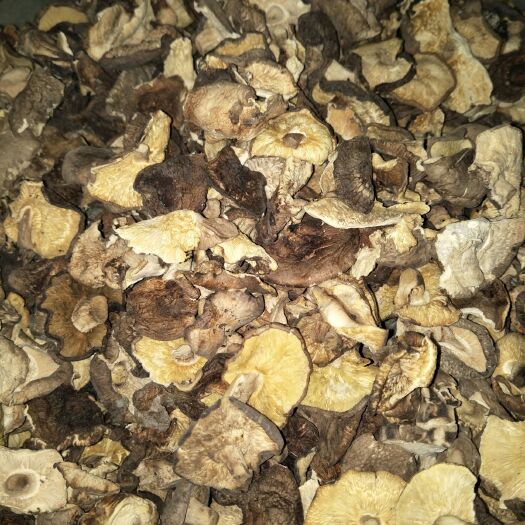 干香菇0912 散装 1年以上