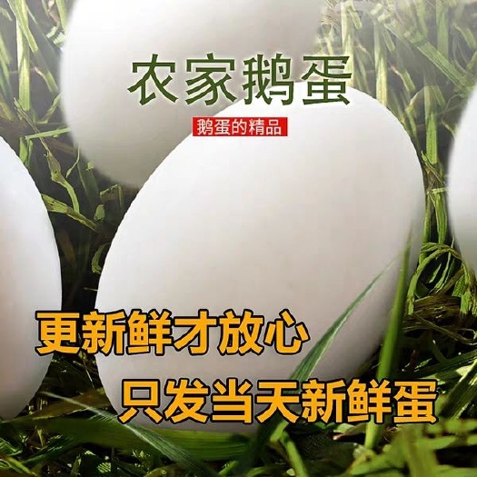 蒙阴县鲜鹅蛋 食用 箱装 