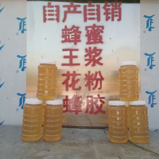 油菜蜜 塑料瓶装 2年以上 