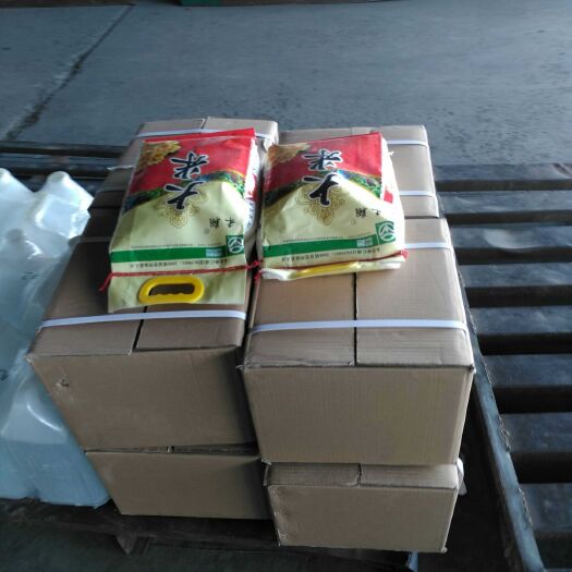 齐齐哈尔圆粒大米 二等品 一季稻 粳米 