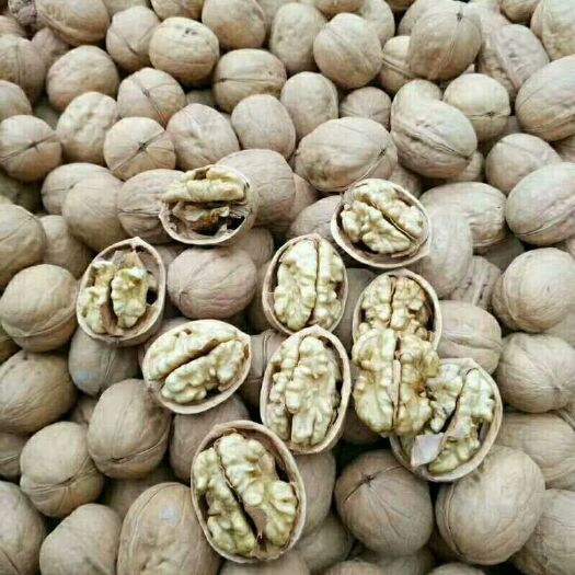 汾阳市薄皮核桃 