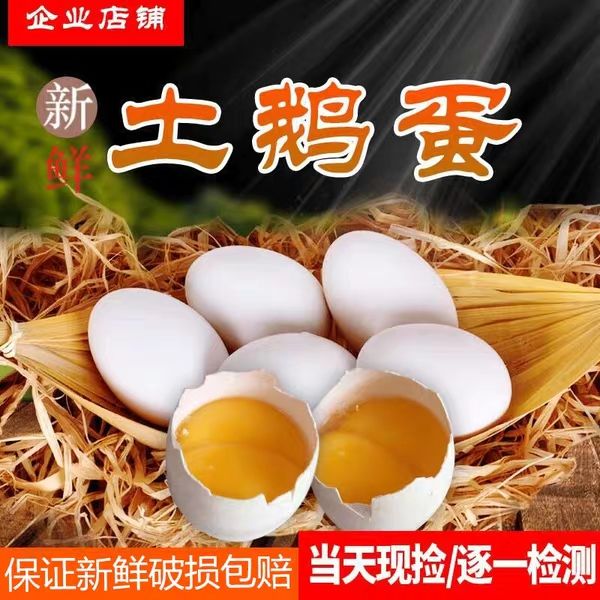 鲜鹅蛋 食用 箱装 